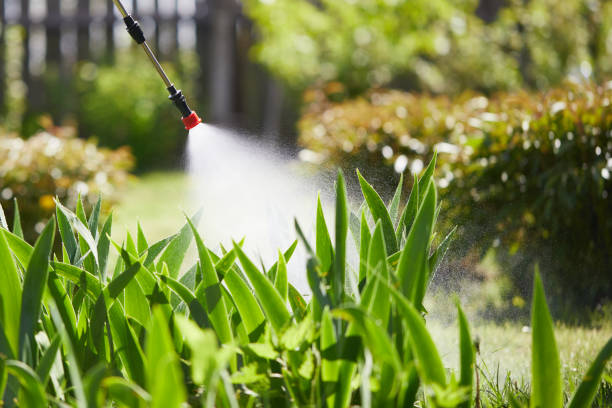 24/7 Emergency Cockroach Control experts in Graham, WA